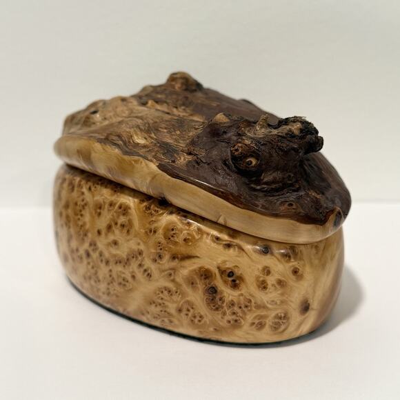 Kris Sacksteder Handmade Yellow Burl Wood Lidded Trinket Box Weird Woods Seattle - Picture 3 of 12